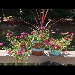 Meet your Posher, Jodee